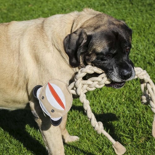 HuggleHounds® Rope Knotties™ - Konijn, Aap of Eend - L/XL