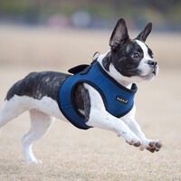 Puppia Soft Vest Harness