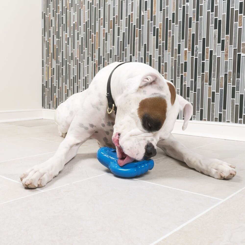Chilly penguin dog toy online