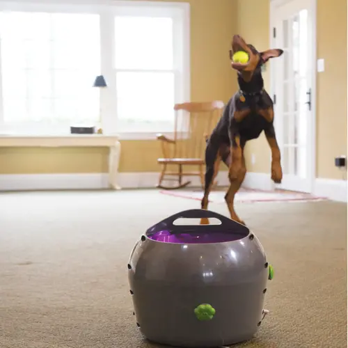 PetSafe Automatic Ball Launcher