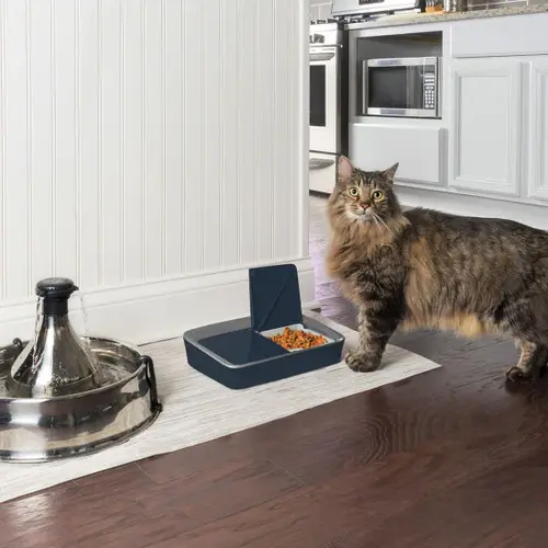 PetSafe Digital Two Meal Pet Feeder