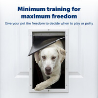 PetSafe Staywell® Aluminium Pet Door