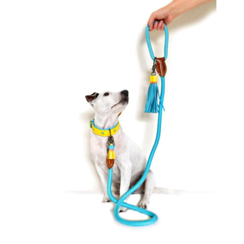 Dog With A Mission Leash