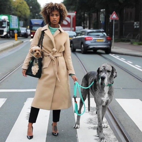 Dog With A Mission Leash