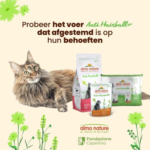 Almo Nature Anti-Hairball Natvoer Kat - Multi Pack - Zakjes met Rund en Kip - 10 x 6 x 70g