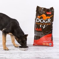 DOGR DOGR Adult 12 kg