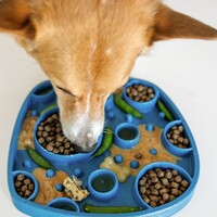 West Paw Seaflex Feast Mat™- All-in-one Slow Feeder and Lick Mat