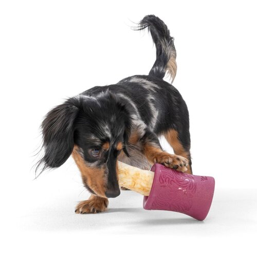 West Paw Seaflex Funnl™ - Puzzel & verrijkend hondenspeelgoed