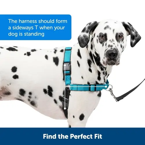 PetSafe Easy Walk® Deluxe Harness