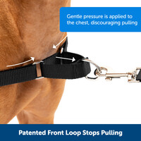 PetSafe Easy Walk®  Harness