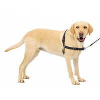 PetSafe Easy Walk®  Harness