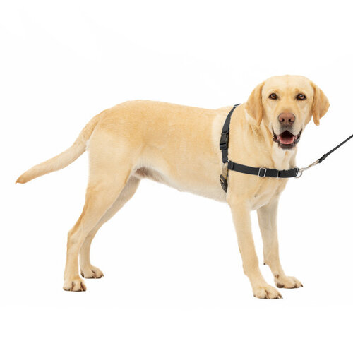 PetSafe Easy Walk®  Harness