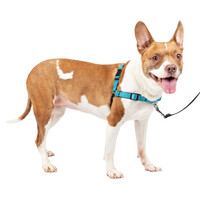 PetSafe Easy Walk® Deluxe Harness