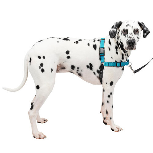 PetSafe Easy Walk® Deluxe Harness