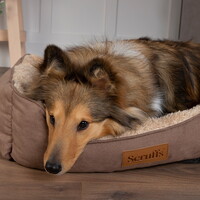 Scruffs Cosy Box Bed