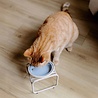District 70 District 70 - BUTLER Single Voerbakstandaard voor Katten District 70 District 70 - BUTLER Single Voerbakstandaard voor Katten