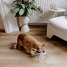 District 70 District 70 - BUTLER Single Voerbakstandaard voor Katten District 70 District 70 - BUTLER Single Voerbakstandaard voor Katten