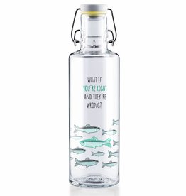 soulbottles Glasflasche 0,6l "You're right"