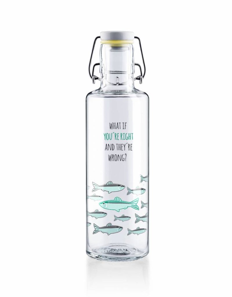 soulbottles Glasflasche 0,6l "You're right"