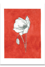 paper lions studio Postkarte "Mohn rot"