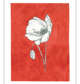 paper lions studio Postkarte "Mohn rot"