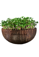 Grow-Grow Nut Microgreen Starter Set