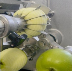 Feuma Appelschilmachine ASETSM-E