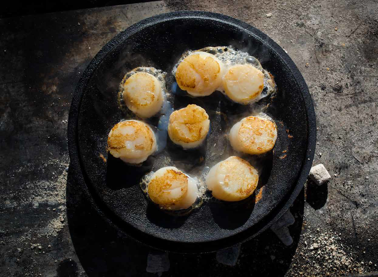 Rezept: Jakobsmuscheln mit geschmortem Fenchel und Safran!