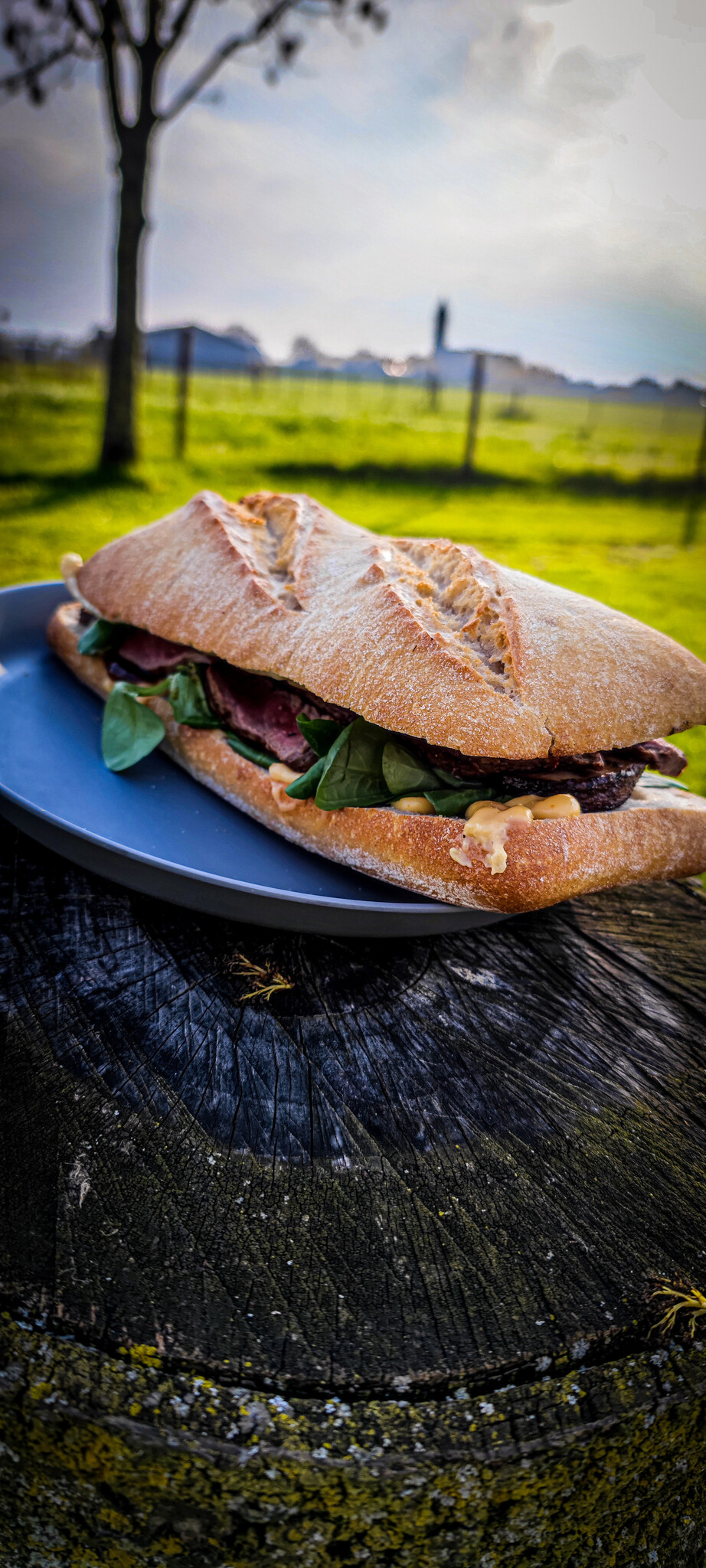 Recept: Steak Sandwich