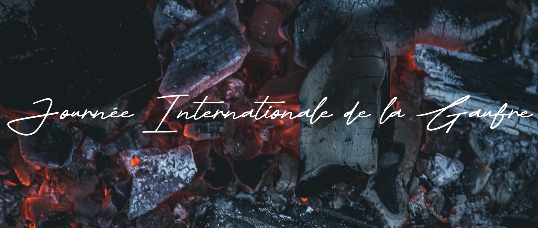 Journée Internationale de la Gaufre