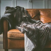 Back to the oldschool