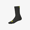 ALE Team Socks 20 ALE Team Socks 20