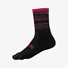ALE Ale Socks Scanner ALE Ale Socks Scanner