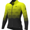ALE Ale Fietsjas PRR Magnitude ALE Ale Fietsjas PRR Magnitude