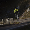 ALE Ale Fietsjas PRR Magnitude ALE Ale Fietsjas PRR Magnitude