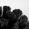 Peaty's Peaty's Bog Brush Peaty's Peaty's Bog Brush