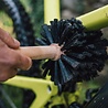 Peaty's Peaty's Bog Brush Peaty's Peaty's Bog Brush