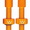 Peaty's Peaty's Tubeless Ventiel 80mm - Chris King (MK2) Peaty's Peaty's Tubeless Ventiel 80mm - Chris King (MK2)