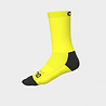 ALE Team Socks 20 ALE Team Socks 20