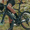 ALE Team Sokken 20 ALE Team Sokken 20