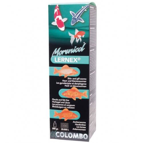 Morenicol Lernex - 400 Gram | Colombo kopen