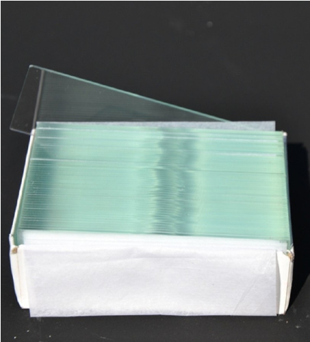Objectglaasjes Microscoop (50 Stuks)