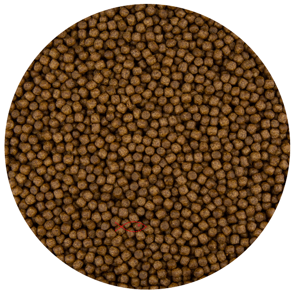 Afbeelding Pond Pro Pond Pellet Koivoer 3 mm 15 kg door A2koi.nl