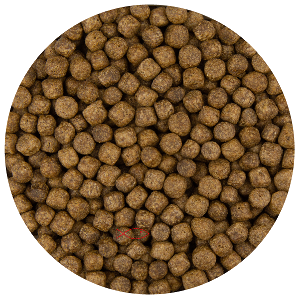 Afbeelding Pond Pro Pond Pellet Koivoer 6 mm 10 kg door A2koi.nl