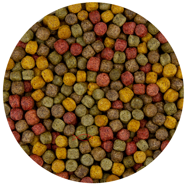 Pond Pro - Multi Kwartet Mix 6 Mm 5 KG