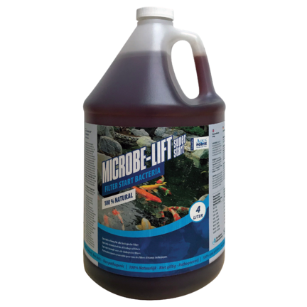 Beadfilter Bacteriën