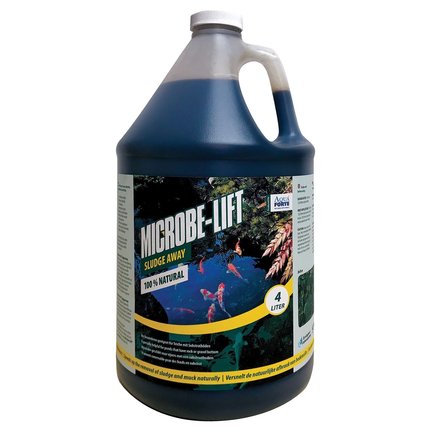 Slib Bacteriën