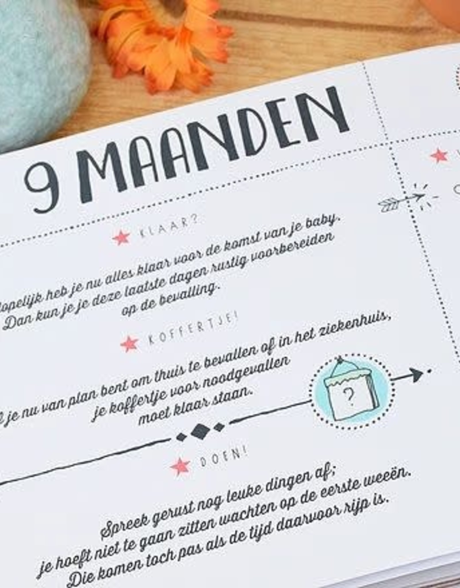 Pauline Oud 9 Maanden Dagboek "O'Baby" - Pauline Oud