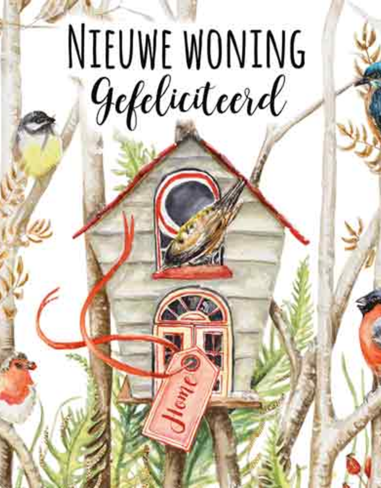 Nieuwe Woning Gefeliciteerd - Wenskaart Janneke Brinkman