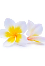 JANZEN Hand Wash Coral 58 - JANZEN JANZEN Hand Wash Coral 58 - JANZEN